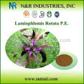 Natural Lamiophlomis Rotata Extract Powder 30% Flavones